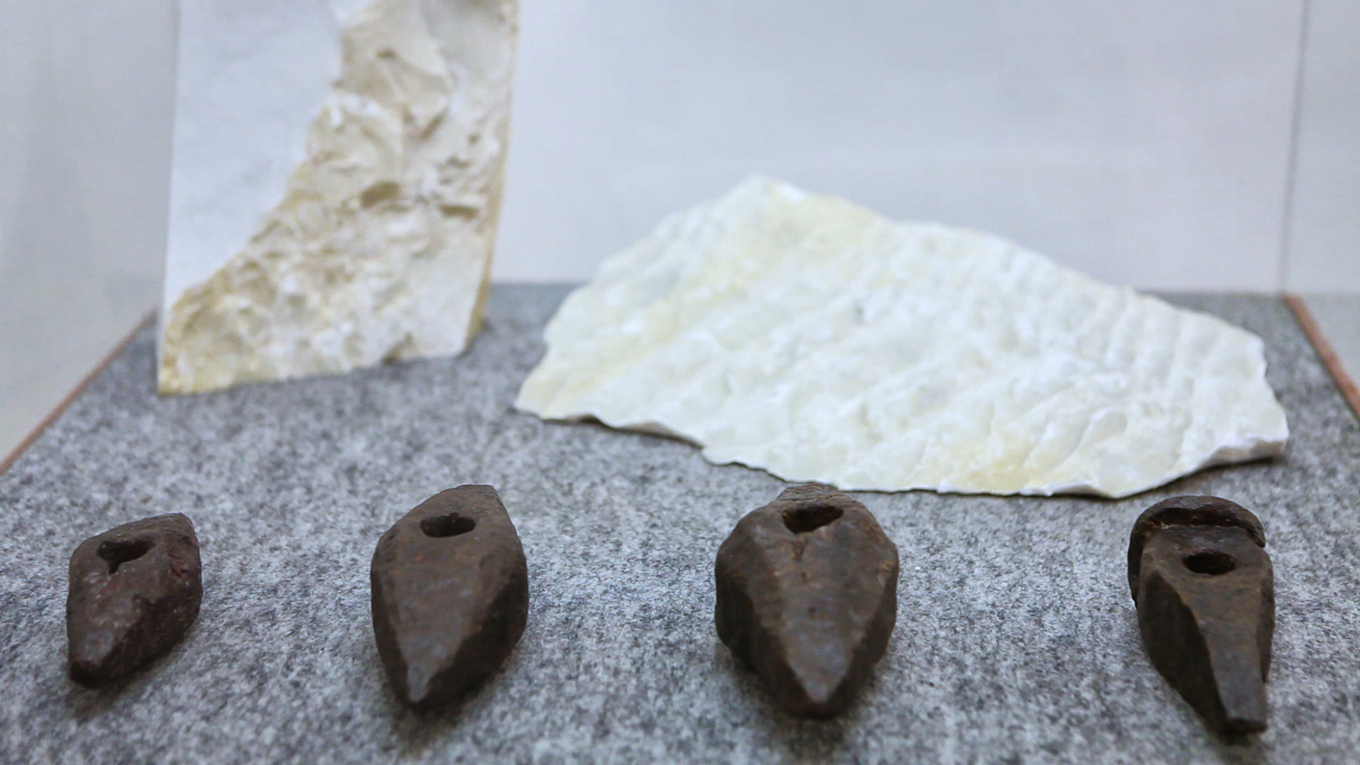 Immagine in evidenza